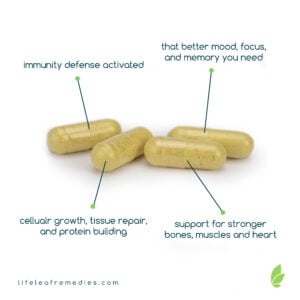 Immune Armor CBD Capsules Immune Support